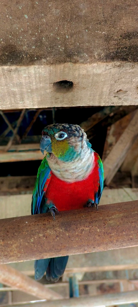 GIF uploaded by Jeevan OJ