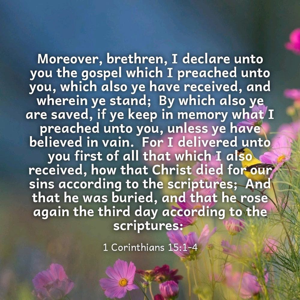 GIF diunggah dening Larry