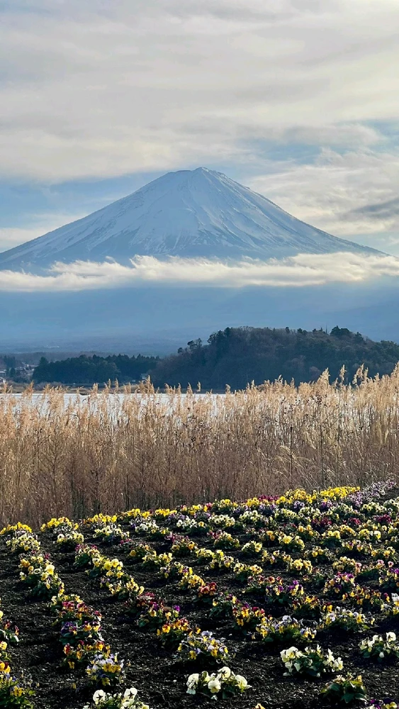 GIF uploaded by Patrick Jones