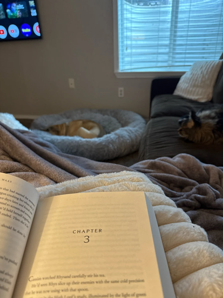 GIF uploaded by Joshua