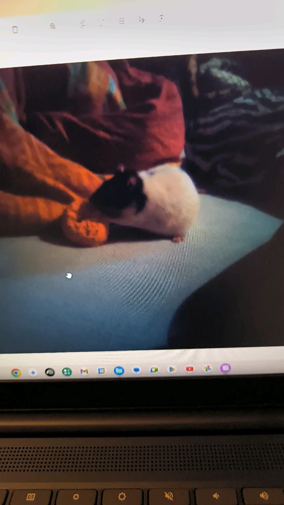 Bild hochgeladen von Luzi