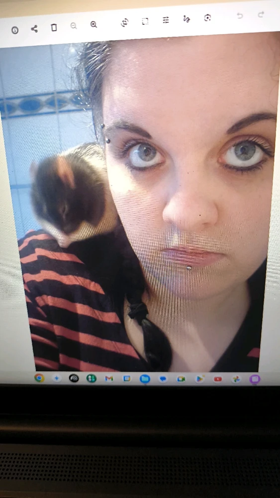 Bild hochgeladen von Luzi