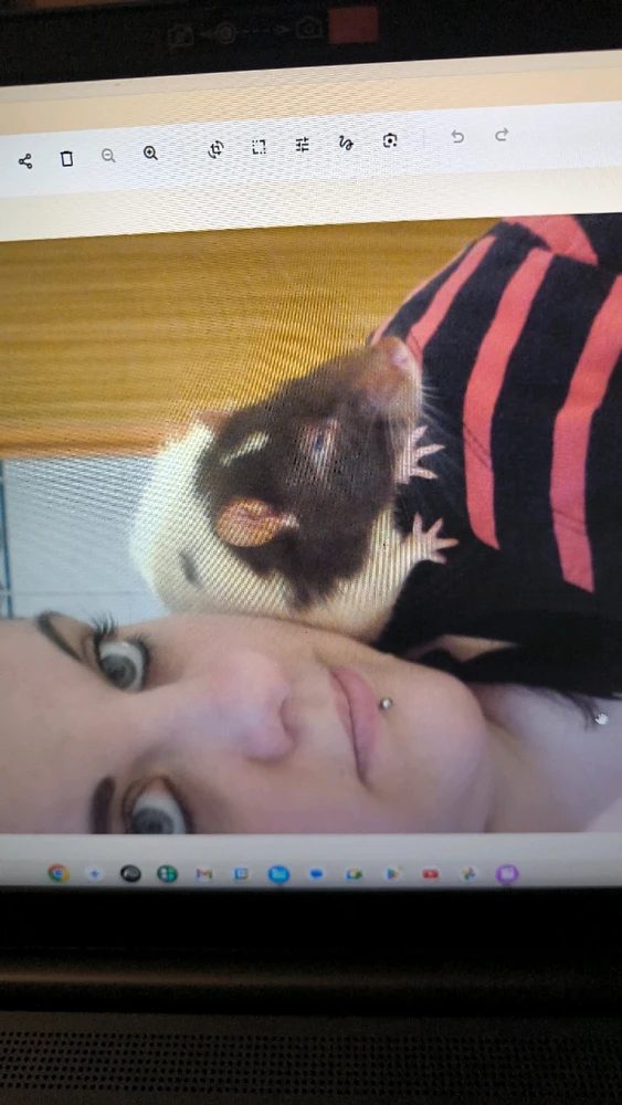 Bild hochgeladen von Luzi