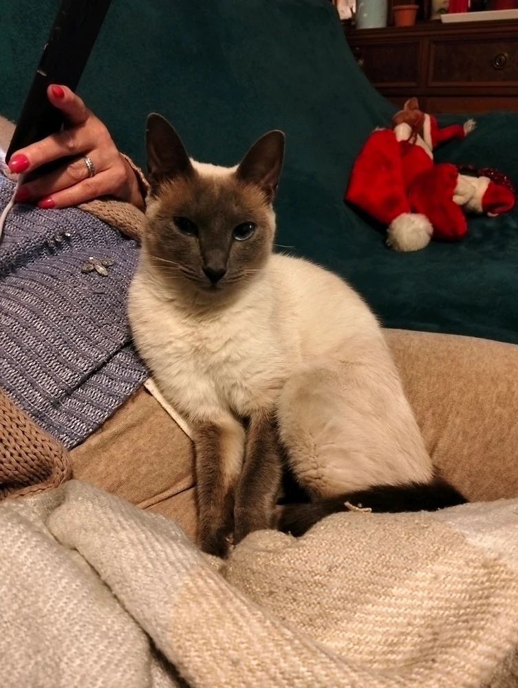 GIF enviado por Luís