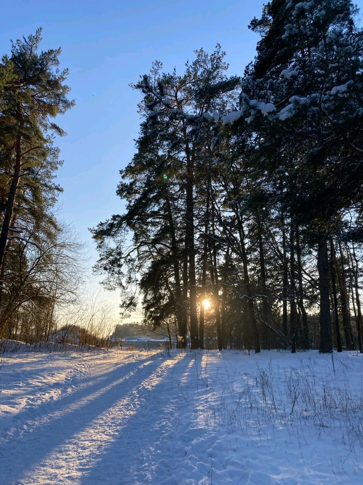 Гіфку завантажив Man