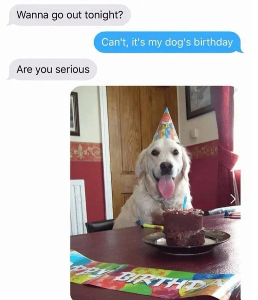 GIF uploaded by Alex