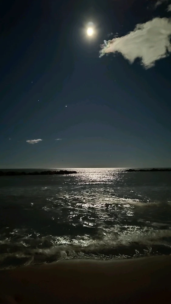 GIF caricata da Domenico