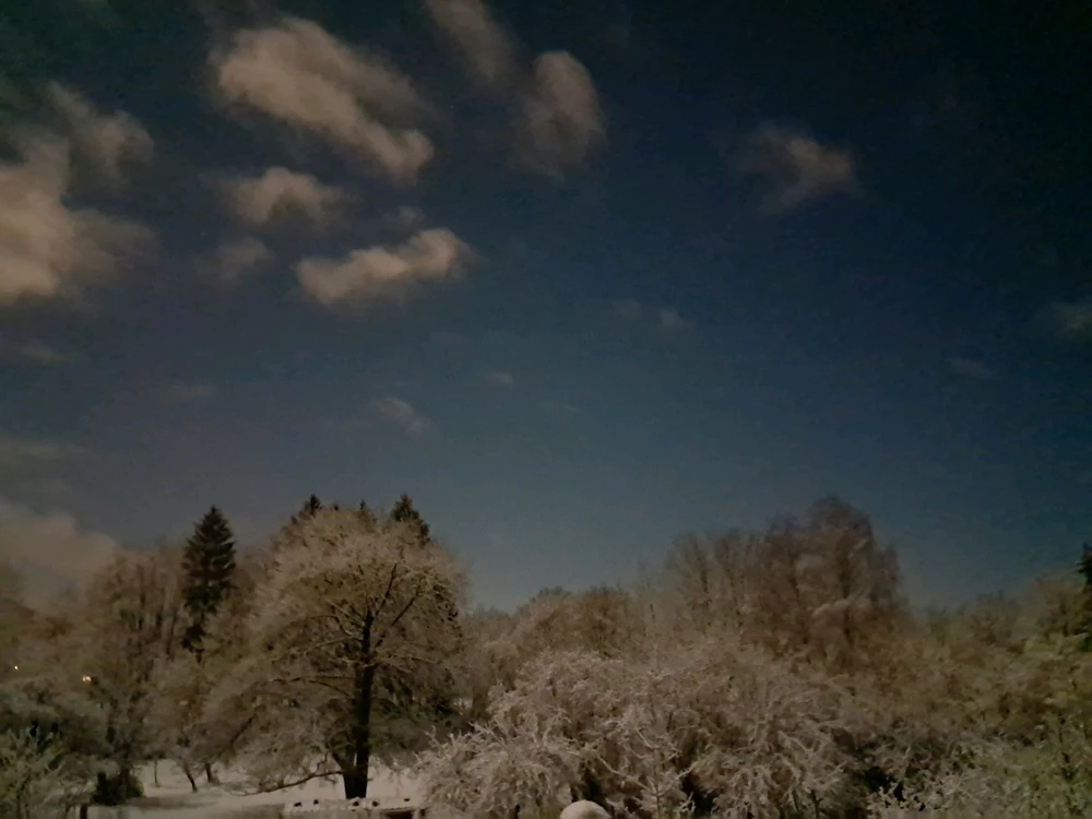 Image ajoutée par Angélique