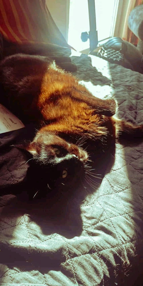 Zdjęcie dodane przez Ball Namib