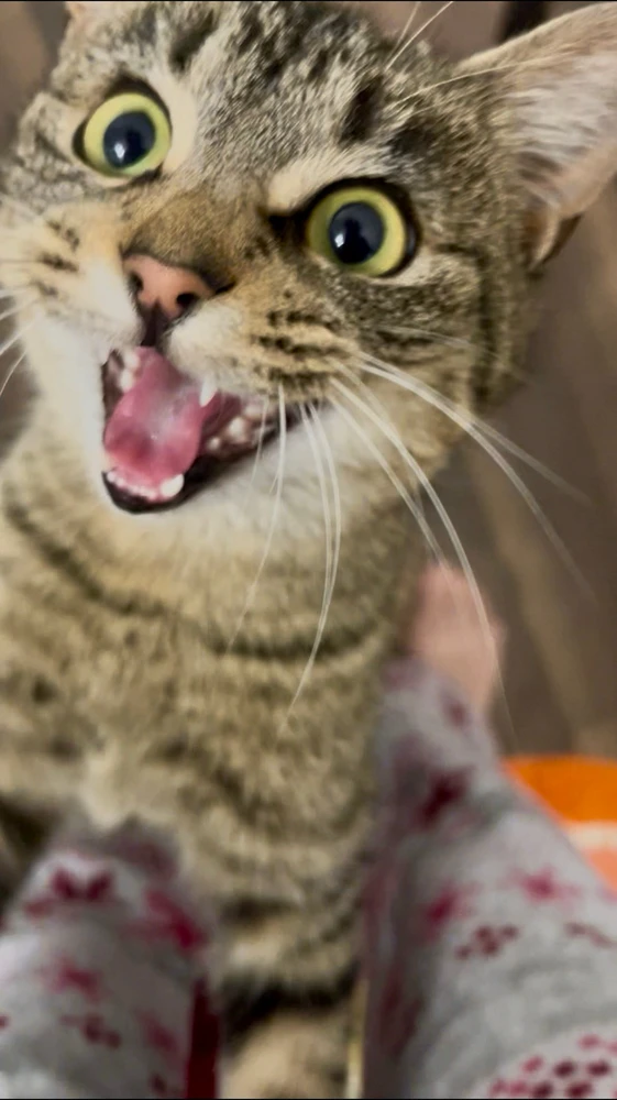 Image uploaded by Avi