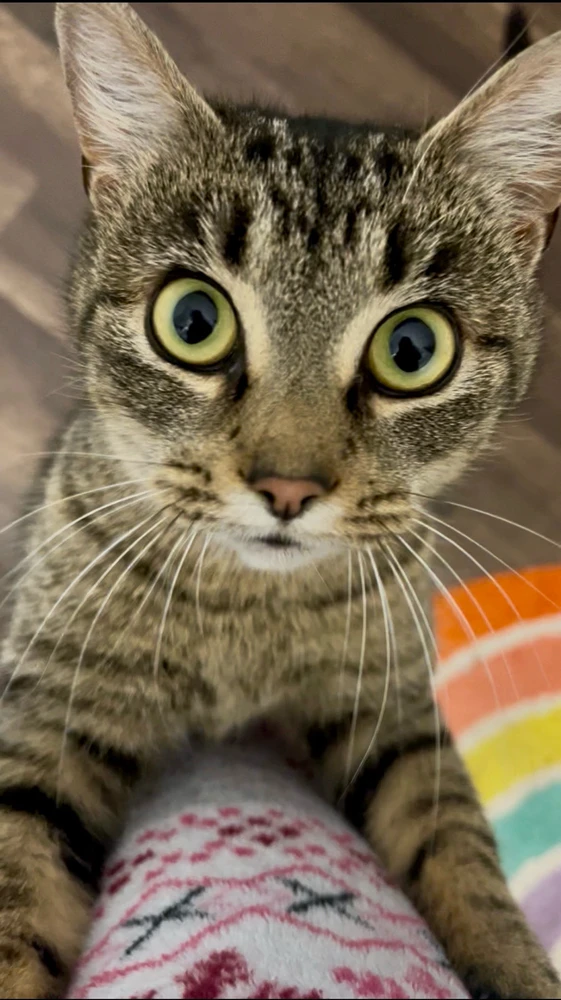 Image uploaded by Avi