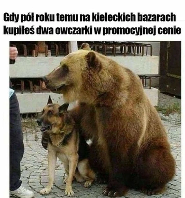 GIF dodany przez T_Ratel