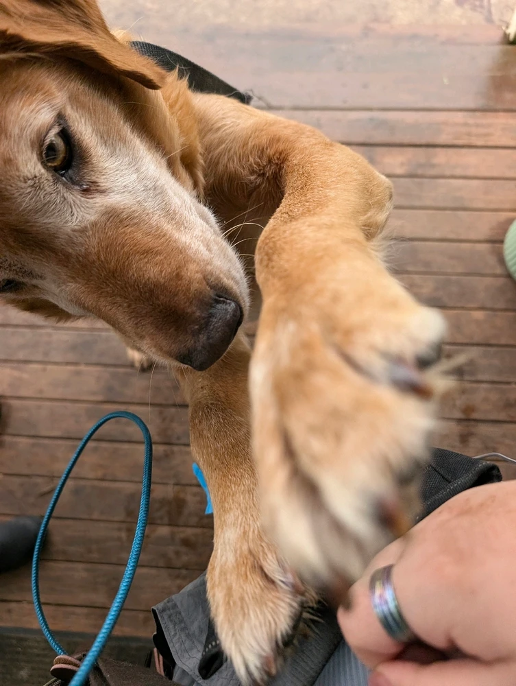 Image uploaded by Bug