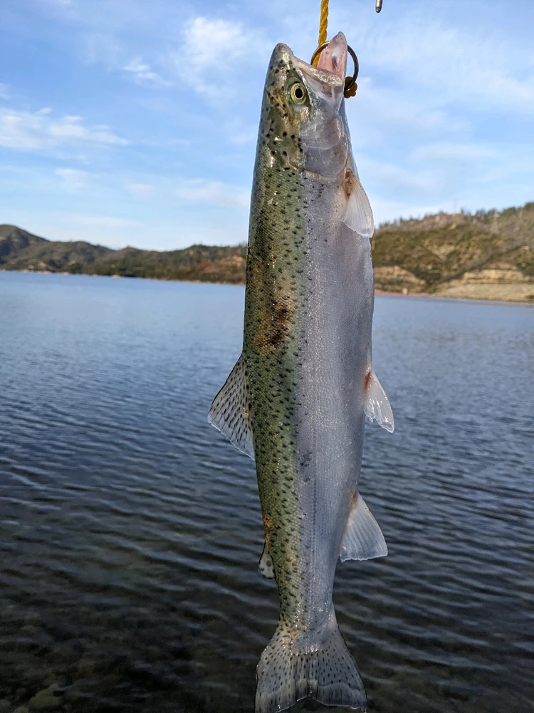 Image uploaded by Jon