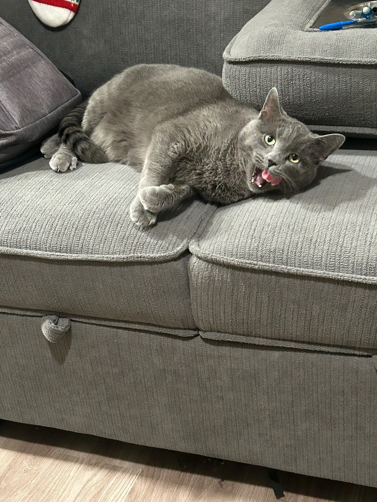 GIF diunggah dening Joel