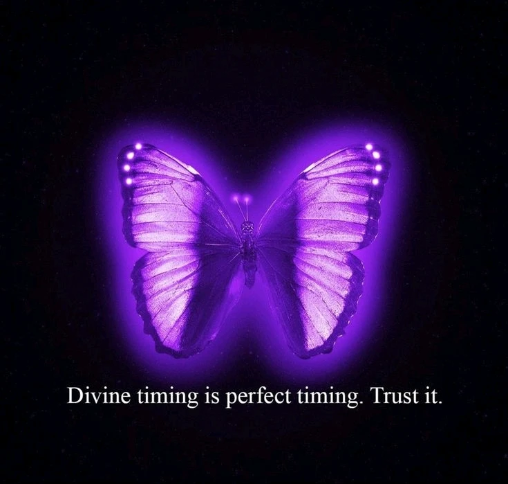 Image uploaded by Pantheress Star