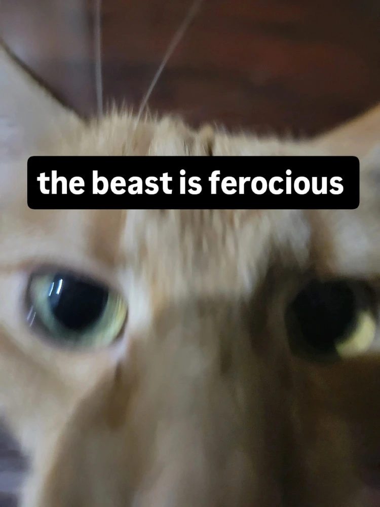 Image uploaded by Joseph