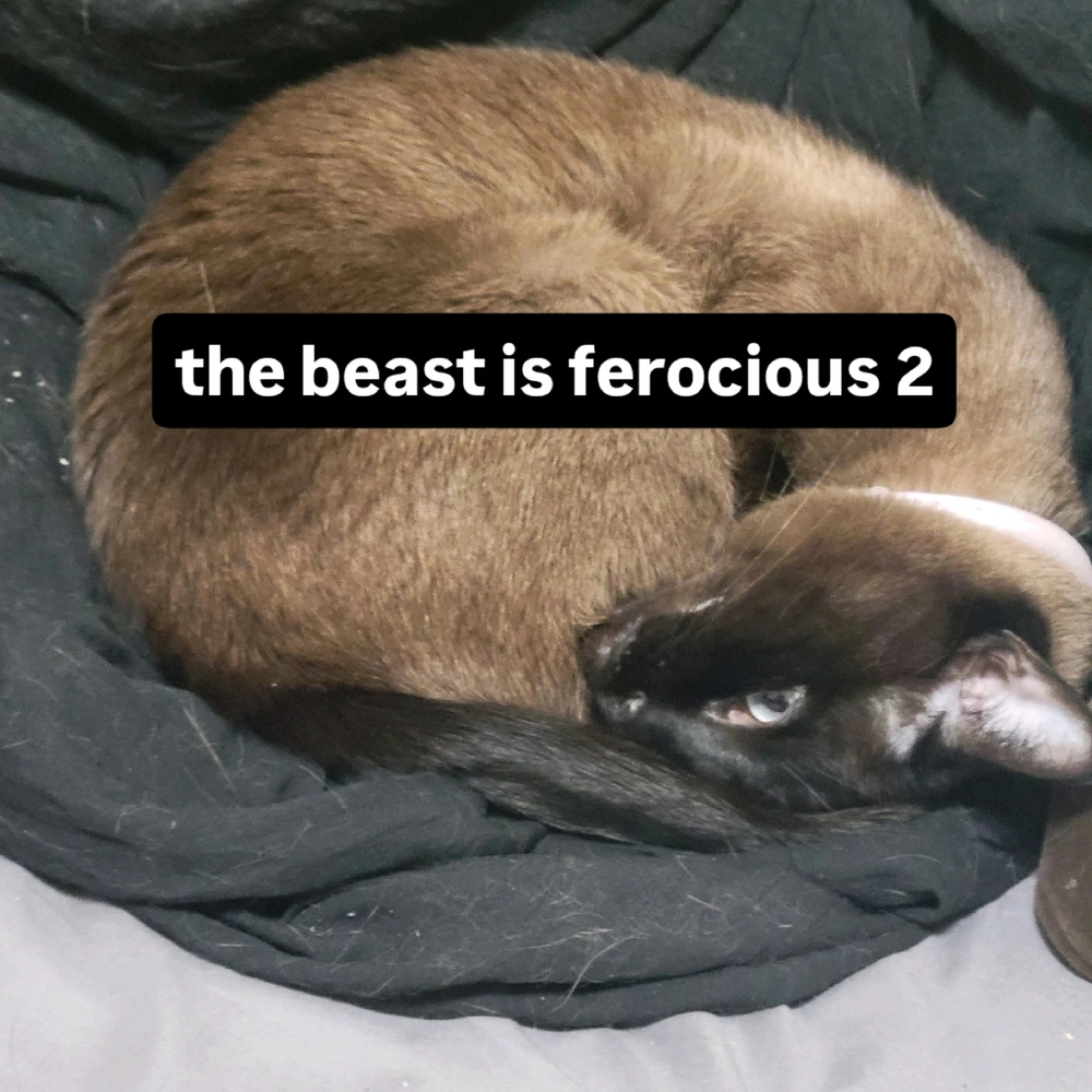 Image uploaded by Joseph