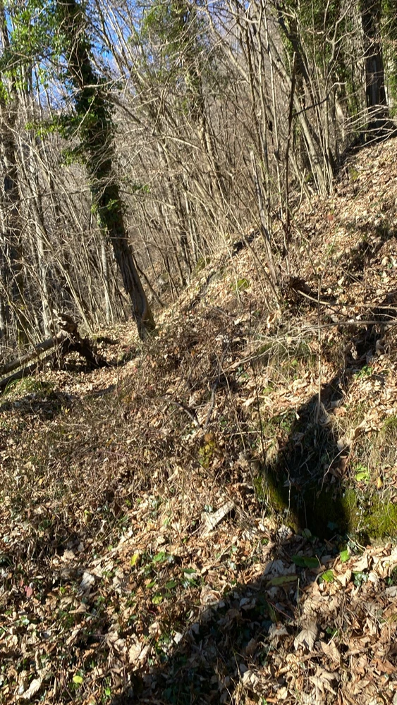 Imagen subida por Rodrigo