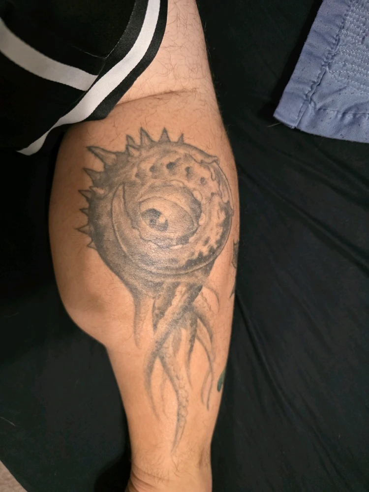 Image uploaded by Conner