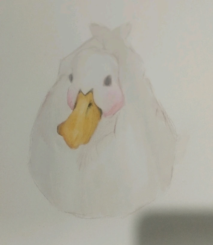 Mira ese lindo patitooo