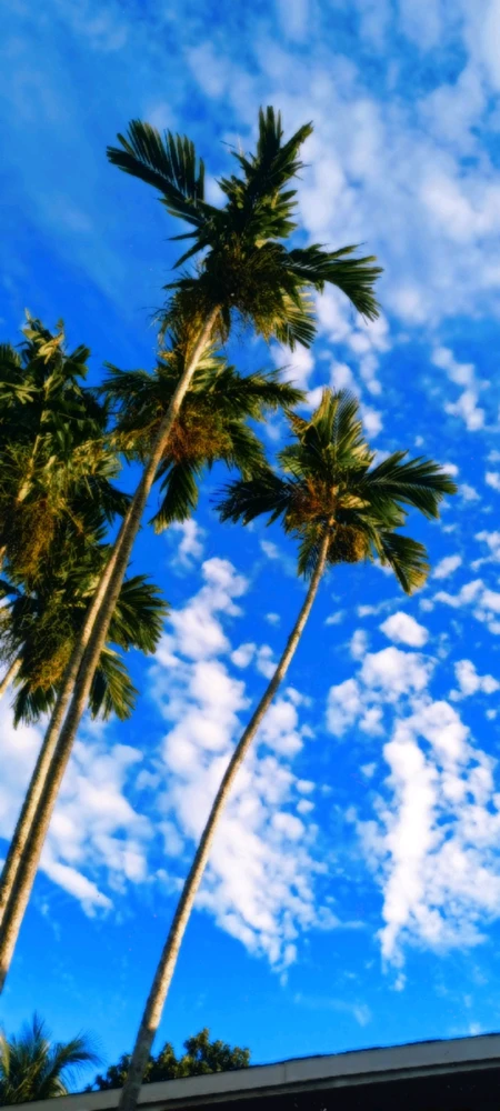 GIF uploaded by Wesley