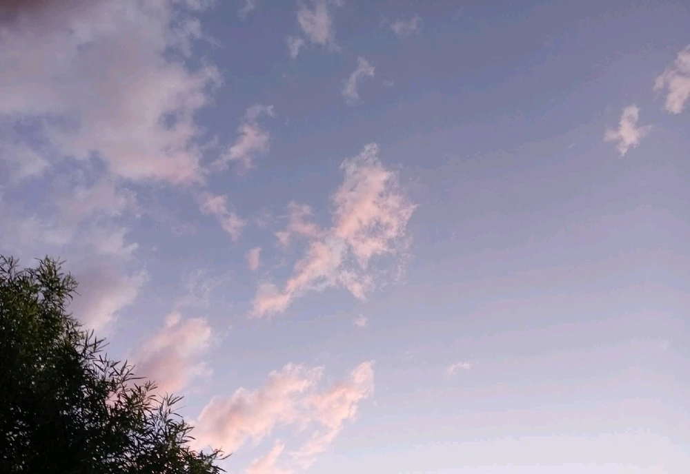 Image uploaded by 💜J💜o💜e💜y💜