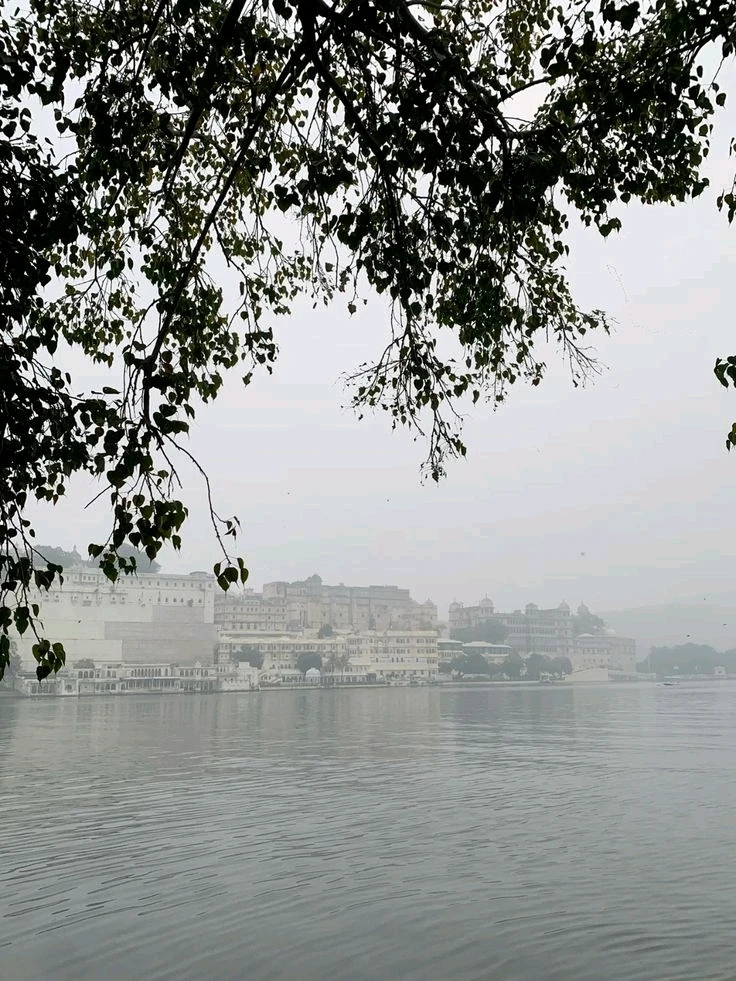 GIF uploaded by Dr.Vivek