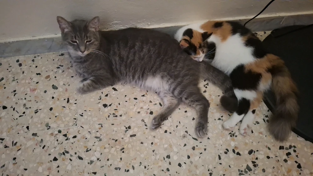 GIF subido por Benjamin