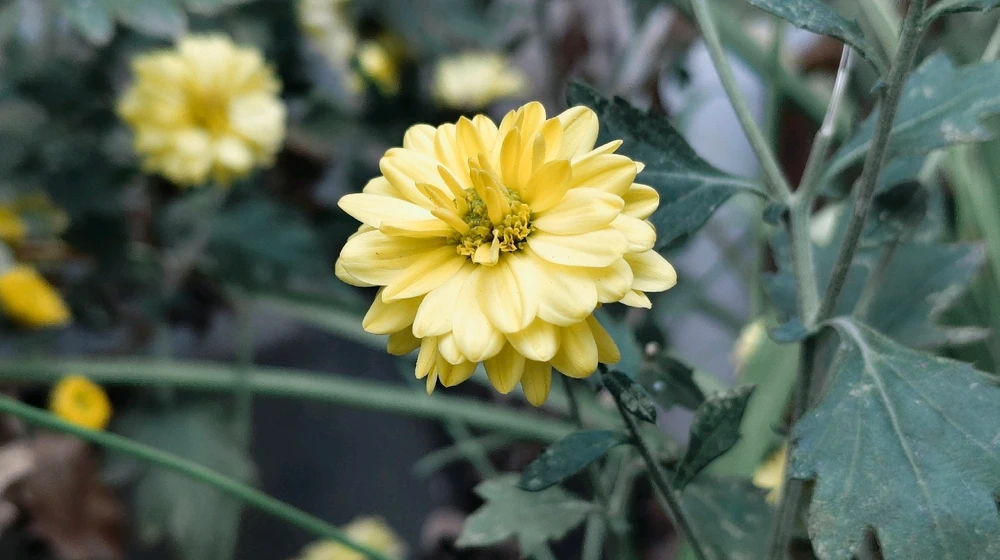 GIF uploaded by Manoj