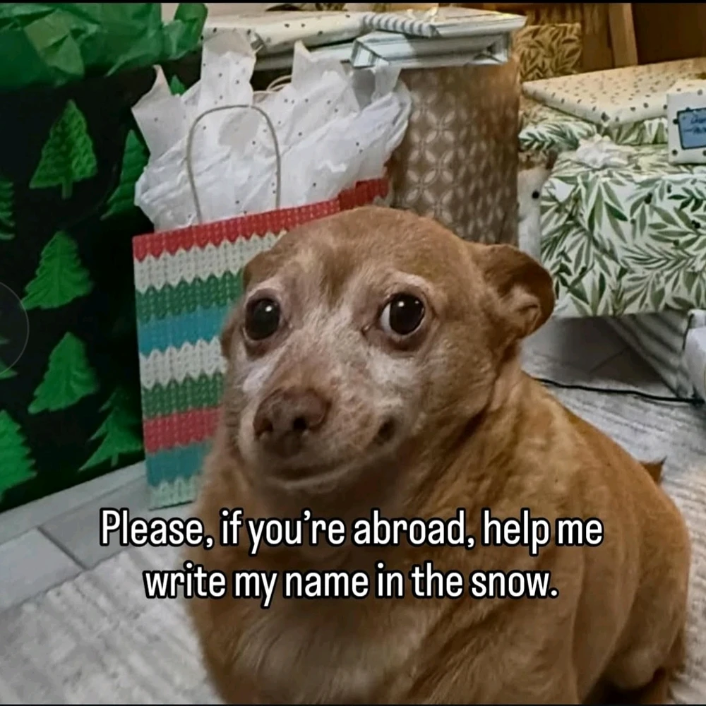 GIF uploaded by Anna