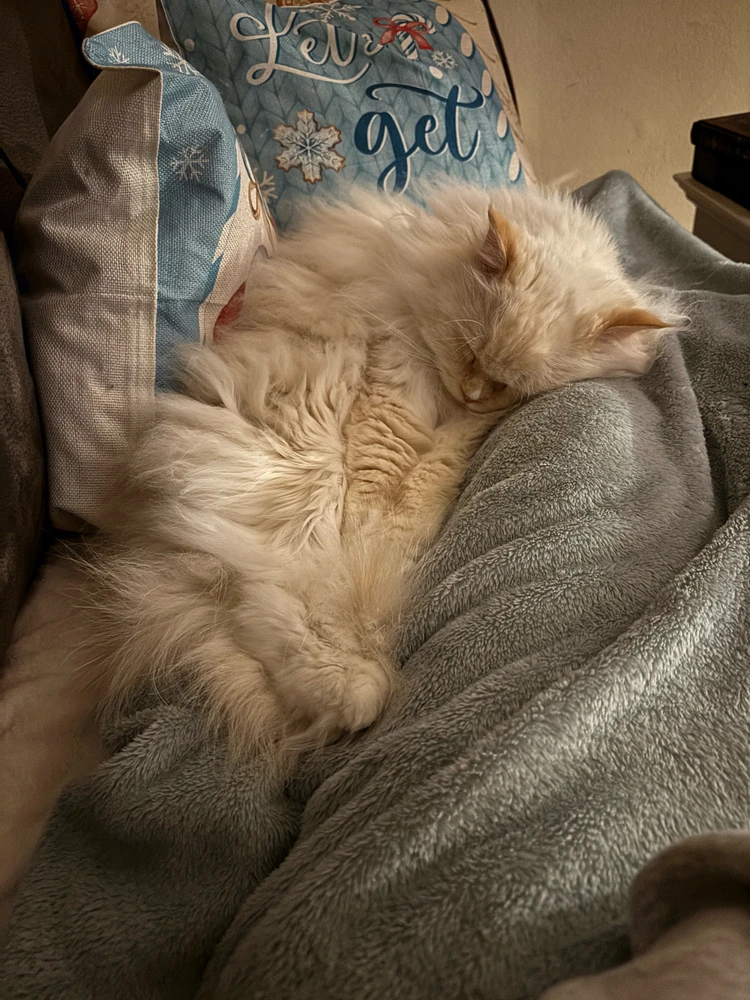 GIF hochgeladen von Britta