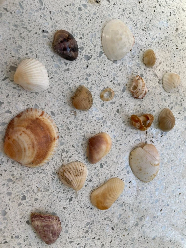 Image uploaded by Mayank