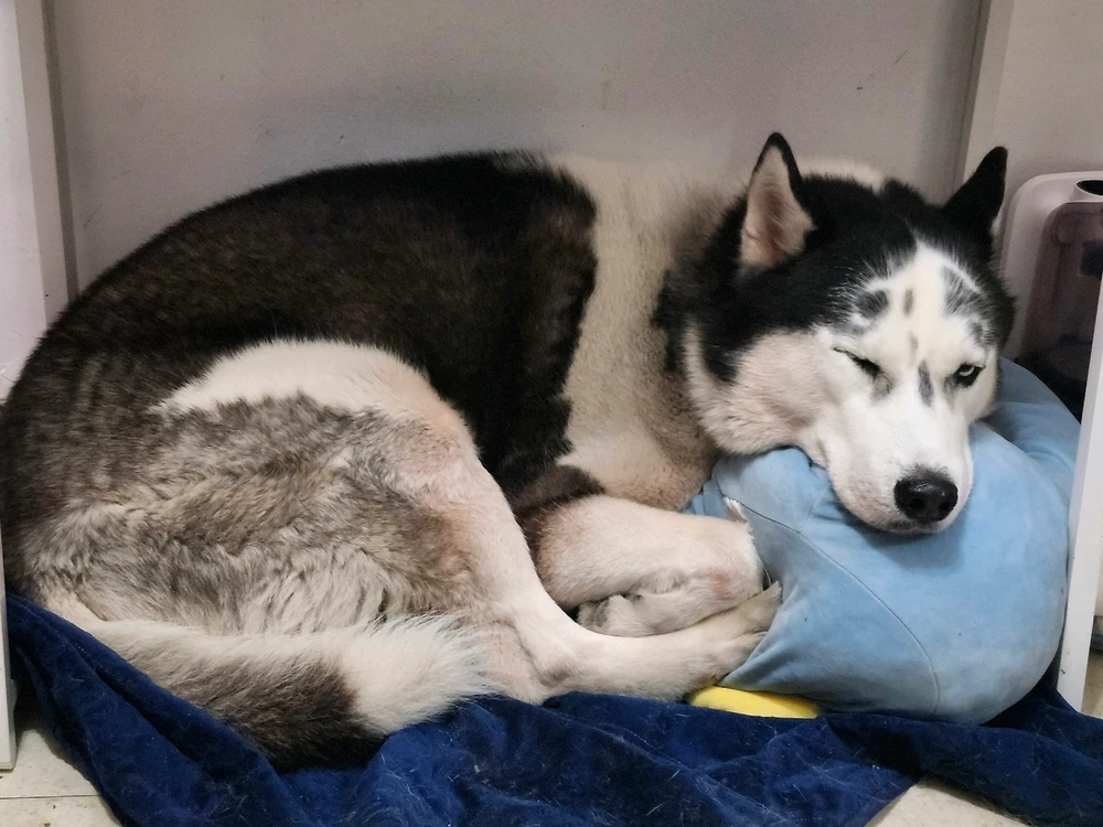 GIF uploaded by Oscar