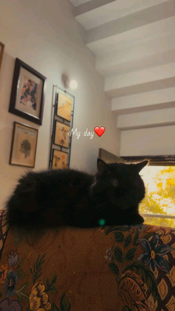 Image uploaded by Aditya