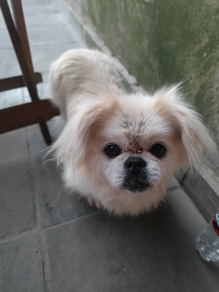 GIF subido por Ezequiel