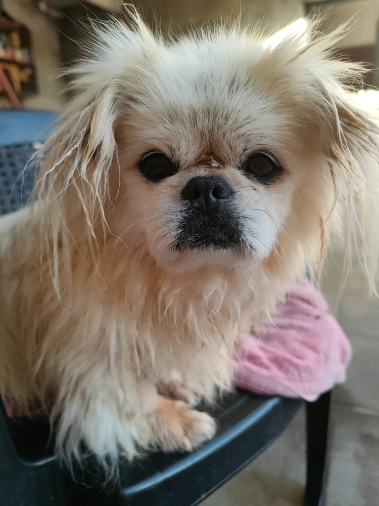 GIF subido por Ezequiel