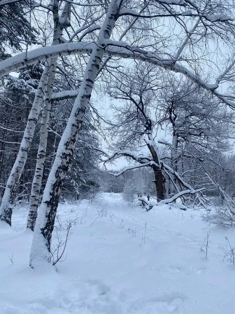 Image uploaded by JULIETTE