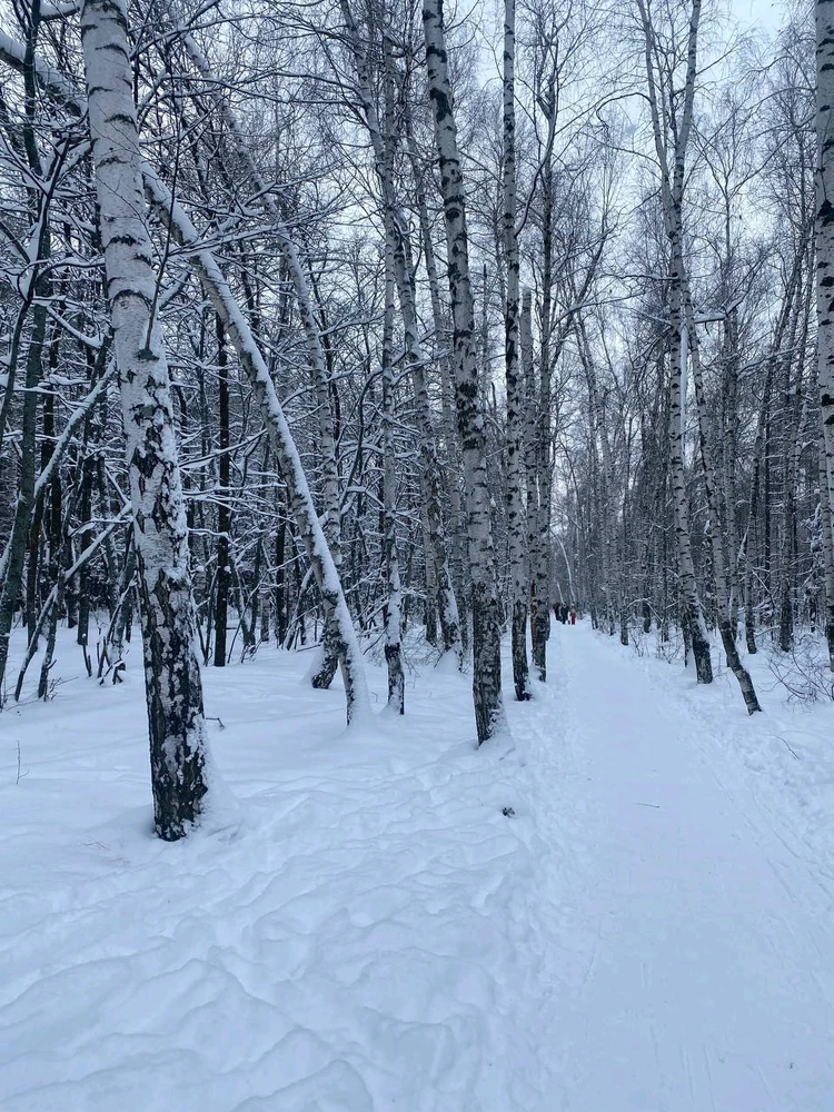 Image uploaded by JULIETTE