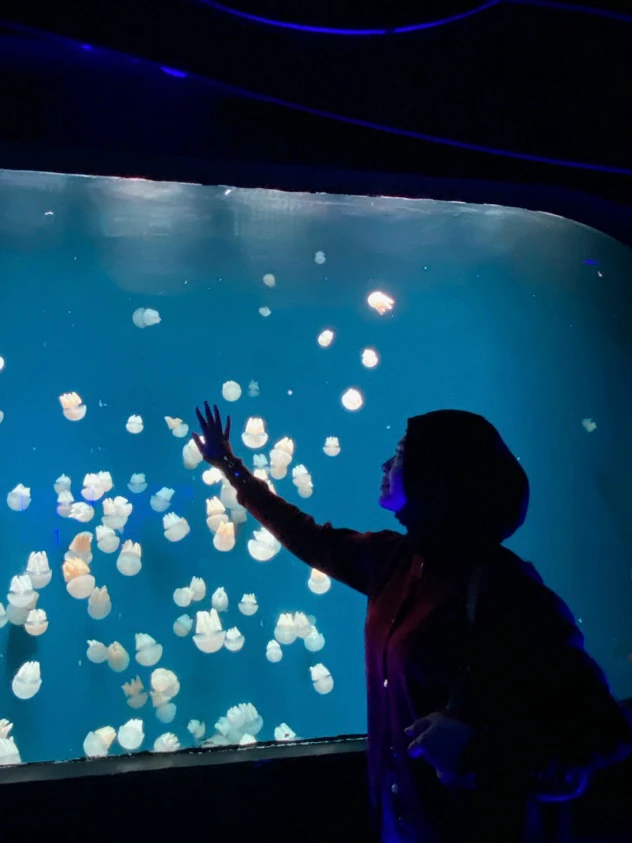 Gambar diunggah oleh Diana