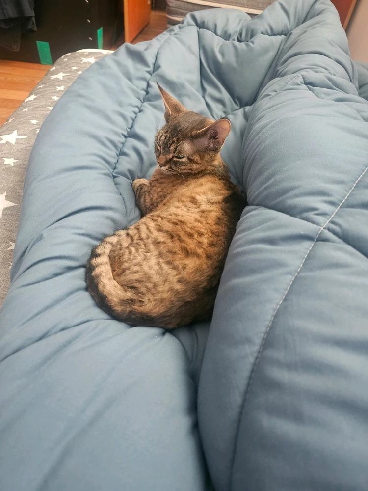 일개미님이 올린 사진