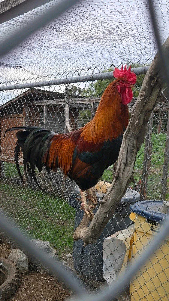 Image uploaded by Audrey