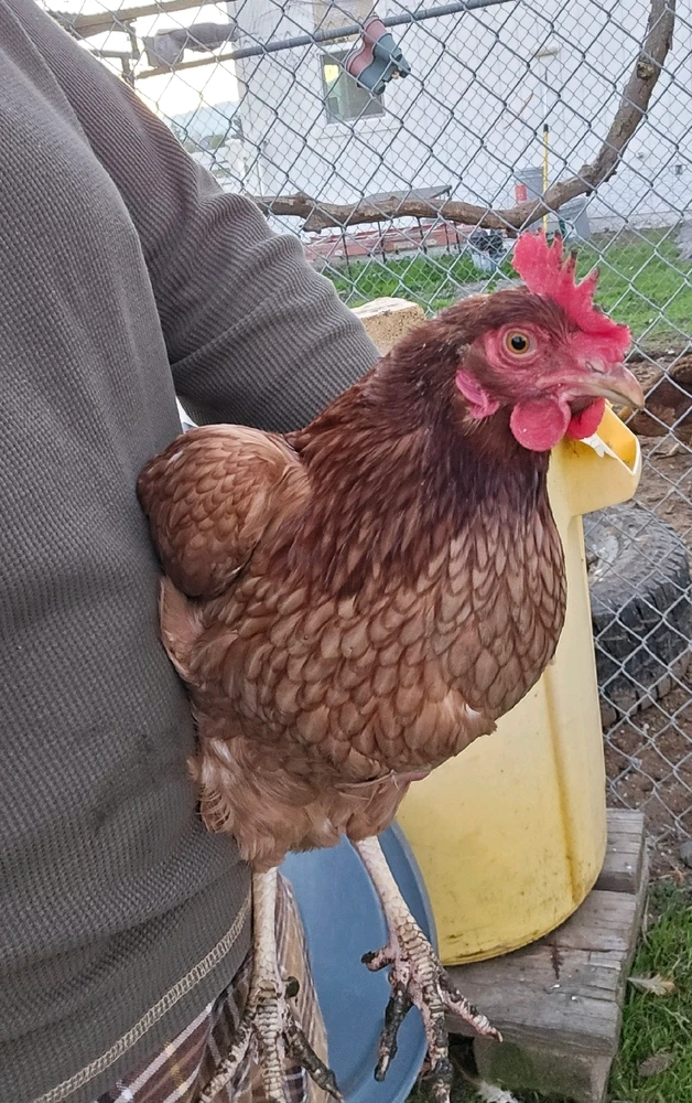 Image uploaded by Audrey