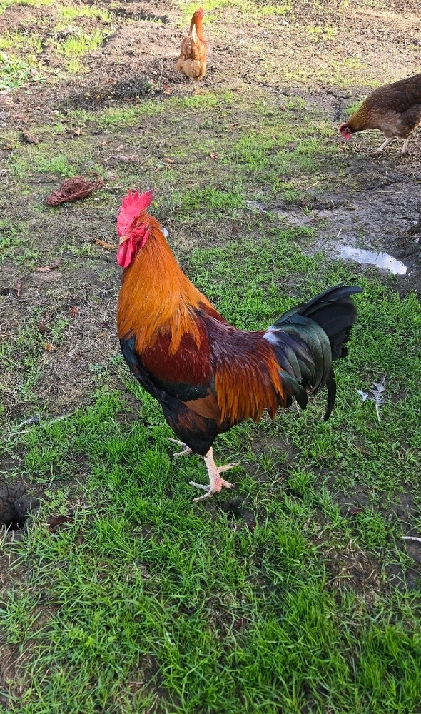 Image uploaded by Audrey