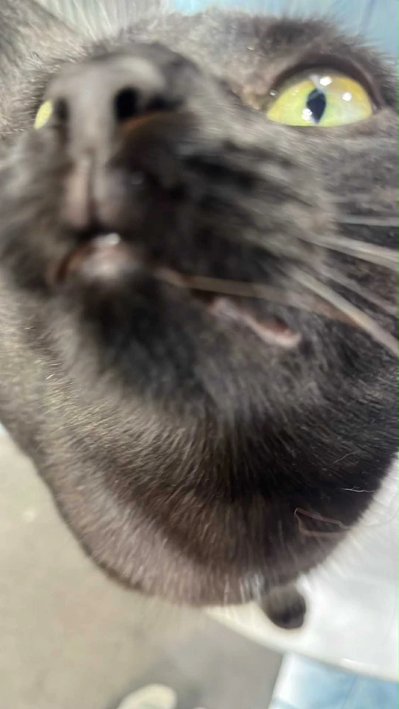 GIF dodany przez Emila