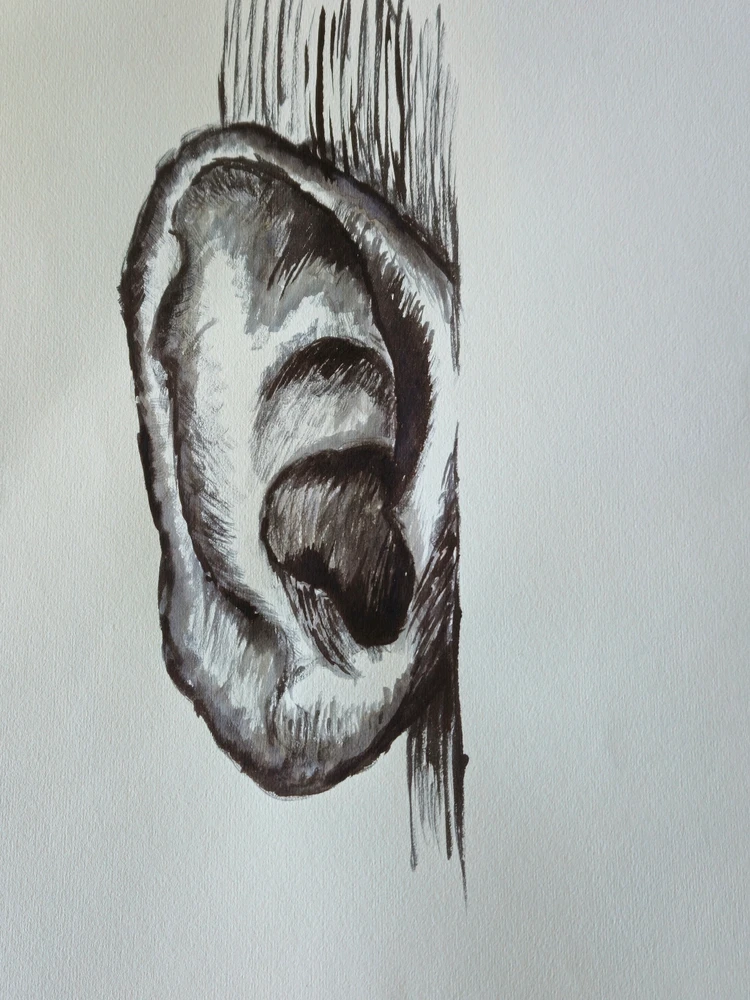 Image uploaded by Luke