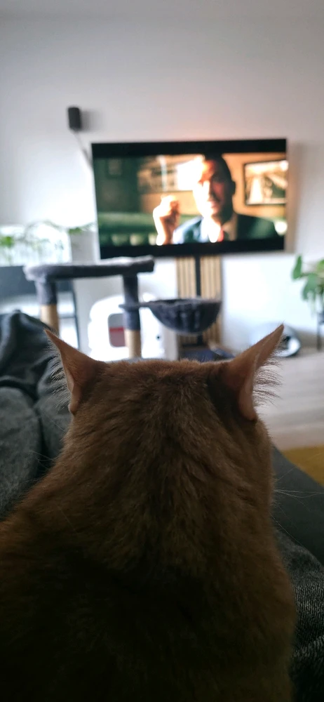 GIF hochgeladen von Andre