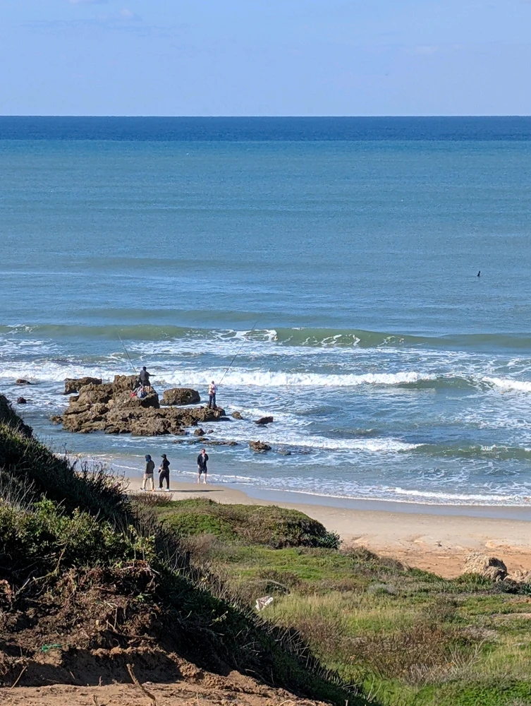 GIF uploaded by Aviv