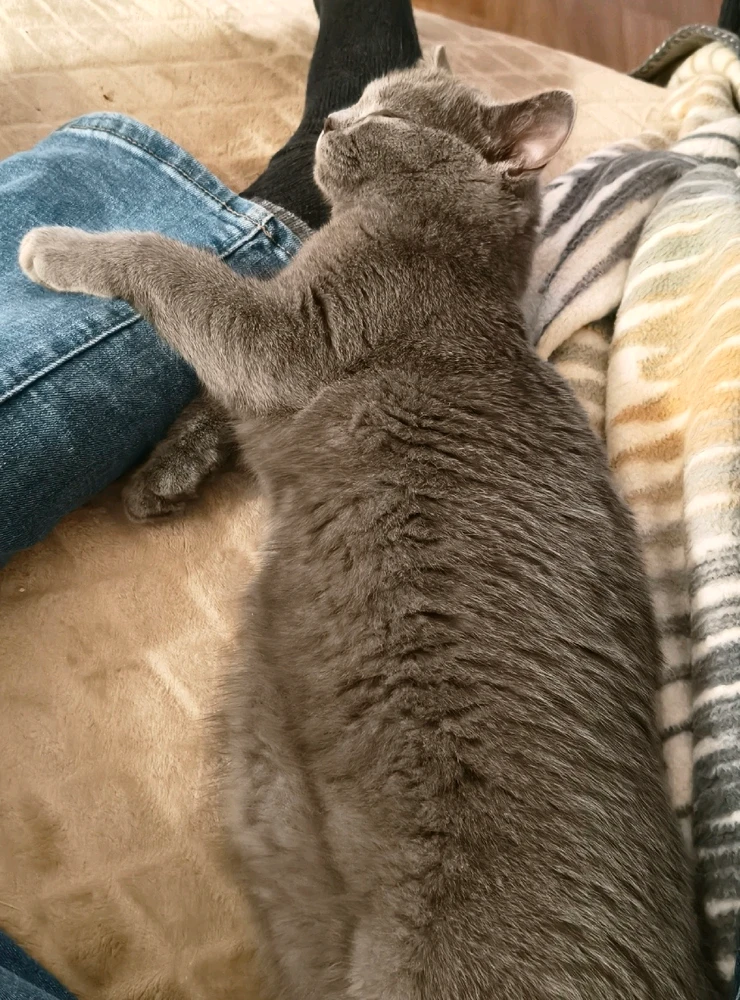 GIF hochgeladen von Marcel