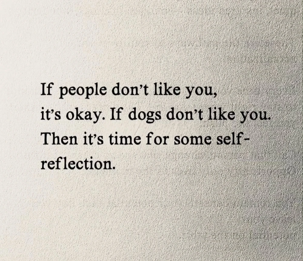 Image uploaded by Aleksandra